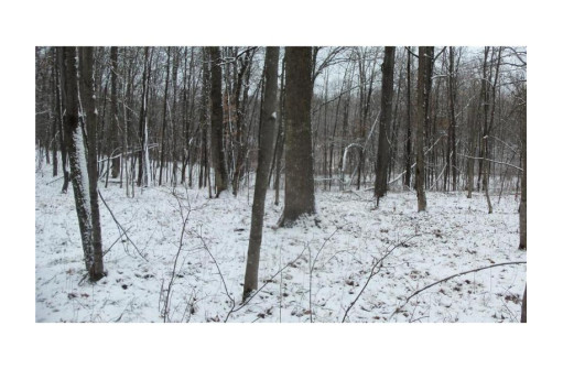 LOT 3 Blackberry Rd, Trego, WI 54888