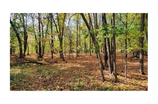 LOT 11 Indian Point Rd, Chetek, WI 54728