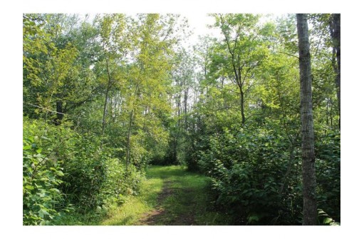 7885 LOT 1 East Camp Amnicon Road, South Range, WI 54874