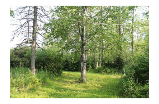 7885 LOT 1 East Camp Amnicon Road, South Range, WI 54874