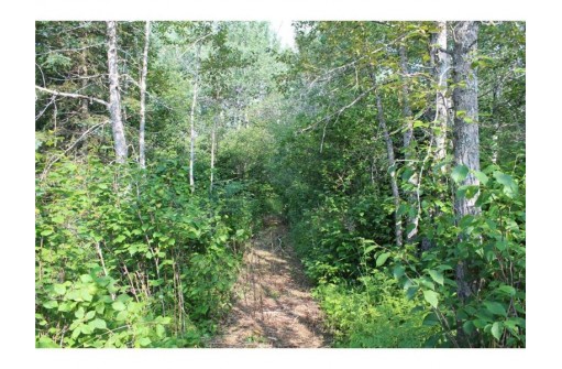 7885 LOT 1 East Camp Amnicon Road, South Range, WI 54874
