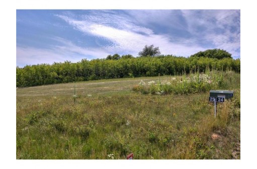 LOT 25 Chestnut, Eau Claire, WI 54701