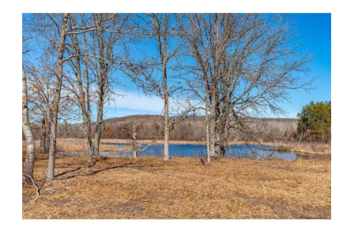 XX 20 ACRES TRANUS LAKE R Tranus Lake Rd, Springbrook, WI 54875