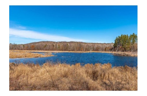 XX 20 ACRES TRANUS LAKE R Tranus Lake Rd, Springbrook, WI 54875