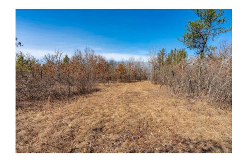 XXX 20 ACRES PARCEL A Tranus Lake Rd, Springbrook, WI 54875