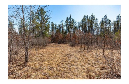 XXX 20 ACRES PARCEL A Tranus Lake Rd, Springbrook, WI 54875