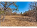 XXX 20 ACRES PARCEL A Tranus Lake Rd, Springbrook, WI 54875