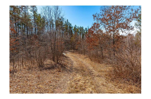 XXX 20 ACRES PARCEL A Tranus Lake Rd, Springbrook, WI 54875