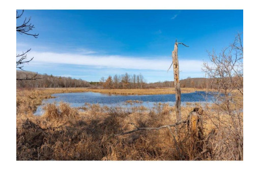 XXX 20 ACRES PARCEL A Tranus Lake Rd, Springbrook, WI 54875