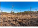 XXX 20 ACRES PARCEL A Tranus Lake Rd, Springbrook, WI 54875