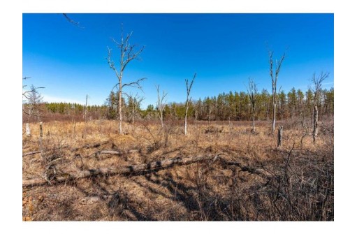 XXX 20 ACRES PARCEL A Tranus Lake Rd, Springbrook, WI 54875