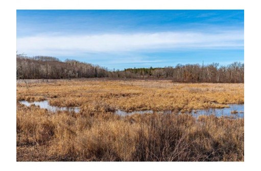 XXX 20 ACRES PARCEL A Tranus Lake Rd, Springbrook, WI 54875