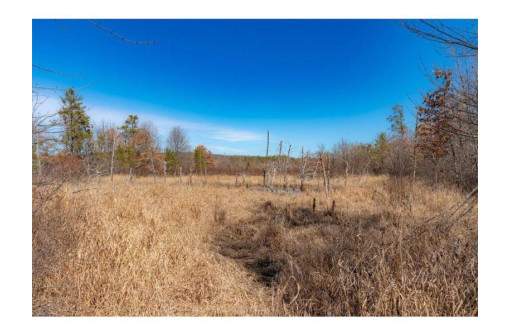 XXX 20 ACRES PARCEL A Tranus Lake Rd, Springbrook, WI 54875