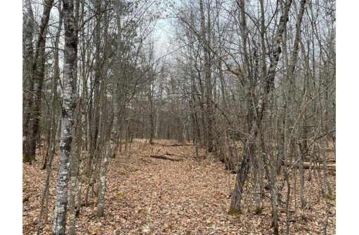 LOT 4 Steinhilpert Drive, Solon Springs, WI 54873