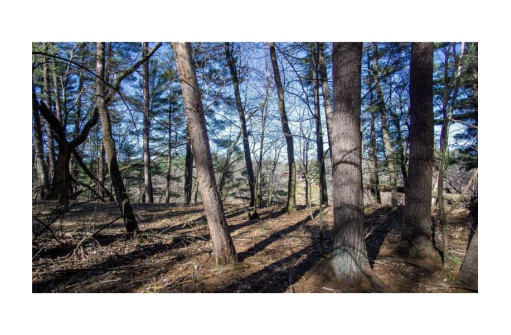 LOT 36 549th, Menomonie, WI 54751