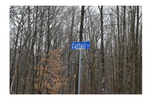 LOT 2 North Cattail Lane, Stone Lake, WI 54876