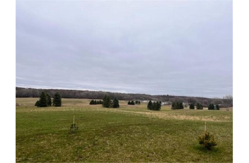 LOT 17 118 Street, Deer Park, WI 54007