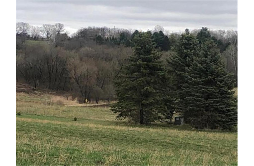 LOT 17 118 Street, Deer Park, WI 54007