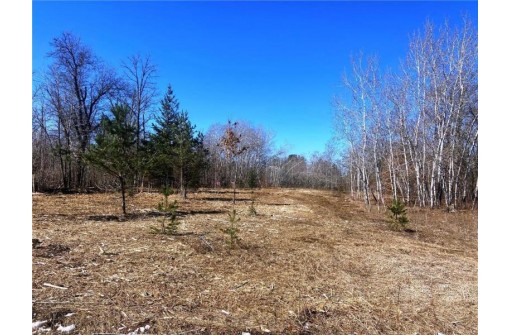 LOT 12 North Sixth Avenue, Danbury, WI 54830