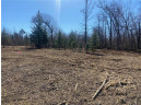 LOT 12 North Sixth Avenue, Danbury, WI 54830