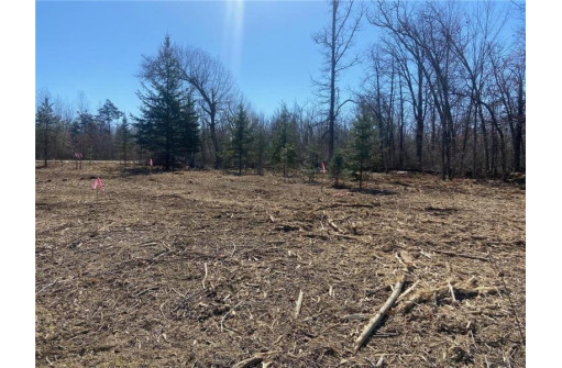 LOT 12 North Sixth Avenue, Danbury, WI 54830