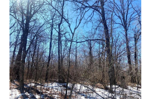 LOT 12 North Sixth Avenue, Danbury, WI 54830