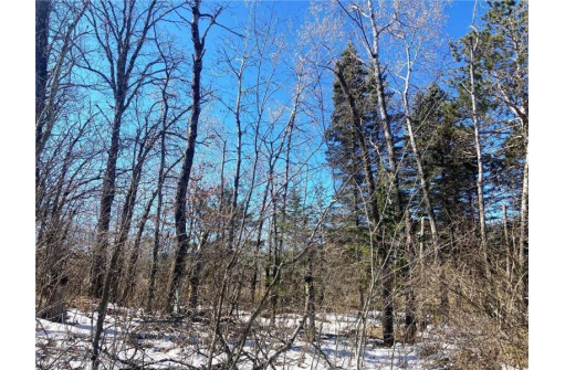 LOT 12 North Sixth Avenue, Danbury, WI 54830