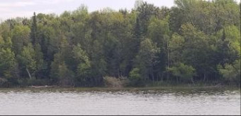 000 H-33 (manistique Lakes Rd) McMillan, MI 49853