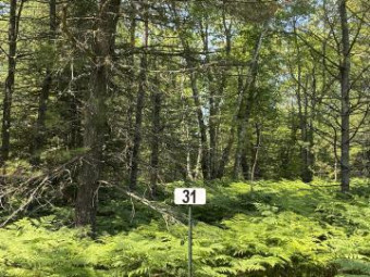 LOT 31 N Whitefish Point Rd Paradise, MI 49768