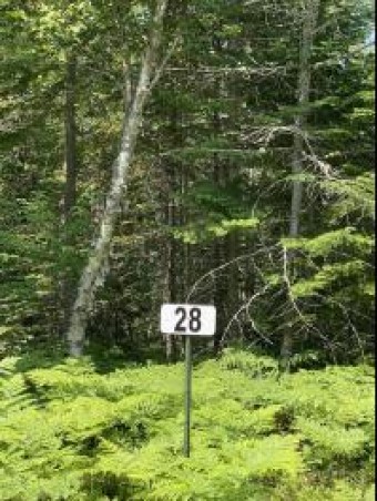 LOT 28 N Whitefish Point Rd Paradise, MI 49768