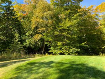 LOT 36 Spruceview Ln Mackinac Island, MI 49757