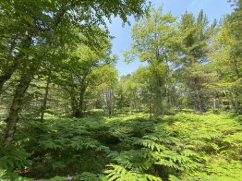 LOT 22 3rd Creek Subdivision Paradise, MI 49768