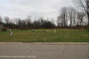 LOT 47 Doe Pass Lansing, MI 48901