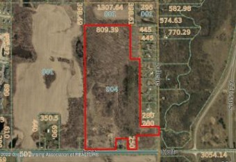 V/L Holt Road Holt, MI 48842