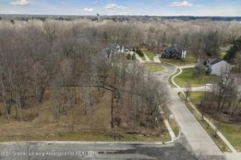 LOT 1 Crane Circle Okemos, MI 48864