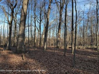 6445 Pine Hollow - Lot 22 Drive East Lansing, MI 48823