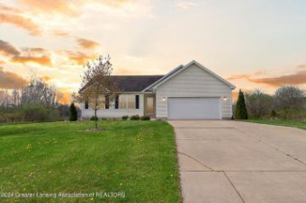 11144 Sun Dog Trail Perrinton, MI 48871