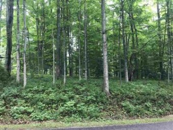 3146 Greenbriar LOT 640 Harbor Springs, MI 49740