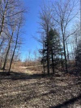 LOT 3 High Pines Trail Boyne City, MI 49712