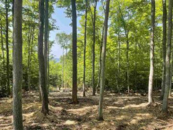 TBD Connemara LOT 8 Boyne City, MI 49712