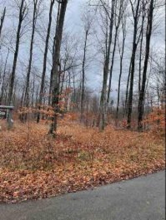 LOT 10 High Pines Trail Boyne City, MI 49712