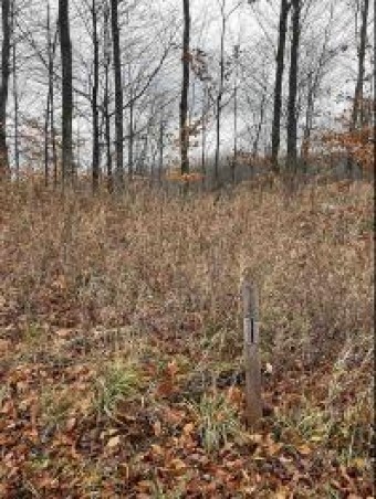 LOT 11 Aspen Ridge Court Boyne City, MI 49712