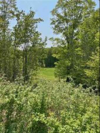 LOT 15 Aspen Ridge Court Boyne City, MI 49712