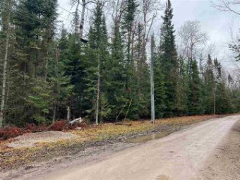 LOT 62 Timberlane Drive Ellsworth, MI 49727