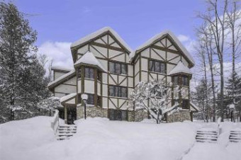 1150 Alpine Village Drive 734 39 Harbor Springs, MI 49740