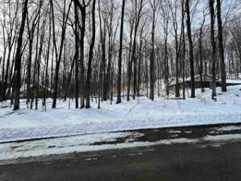 LOT 51 Val D'Isere Drive 51 Bellaire, MI 49615