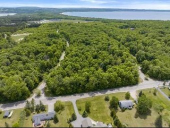 8373 Pleasantview Woods Drive Harbor Springs, MI 49740