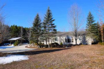 6676 Kilmer Road Alanson, MI 49706