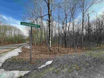 LOT 351 Dellwood Drive 351 Elmira, MI 49730