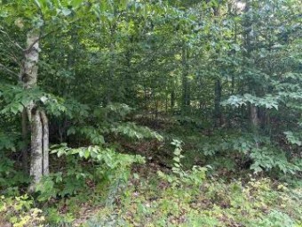 LOT 7 High Pines Trail Boyne City, MI 49712